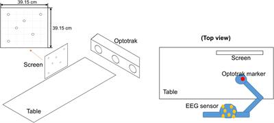 Characteristics of Kinematic Parameters in Decoding Intended Reaching Movements Using Electroencephalography (EEG)